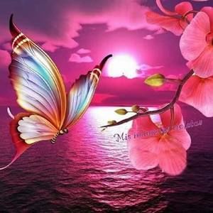 Meet your Posher, Letty